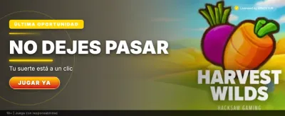 Tesoro de Dragon Hatch